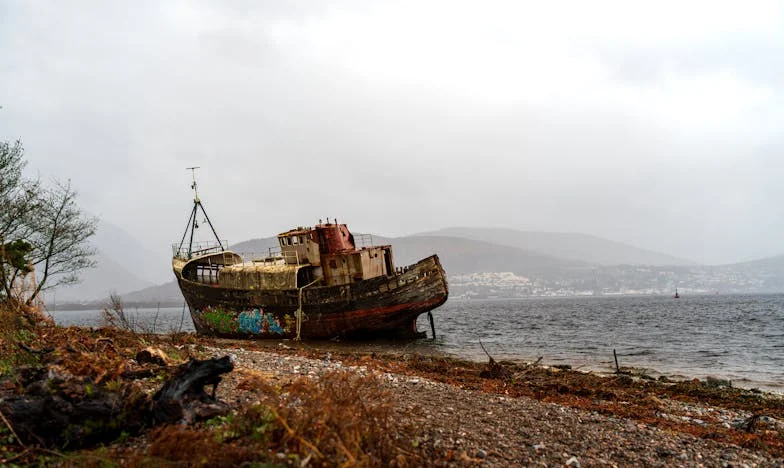 Złamane skrzydła, odnalezione gniazdo: Moja walka o rodzinę