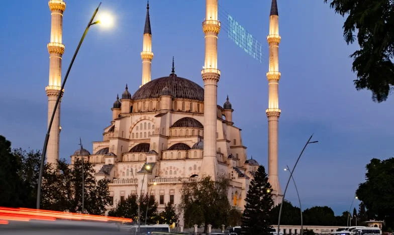 Znowu ryż z jajkiem, mamo? Nie mogę już znieść tej biedy!