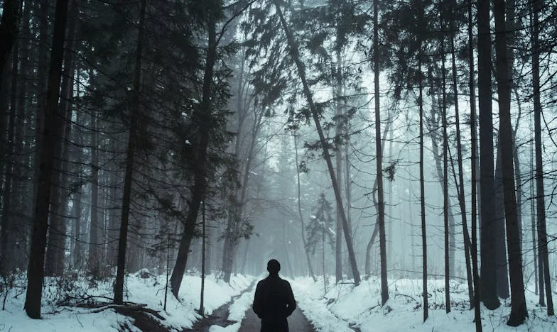 Cień nad Wisłą: Opowieść o wyborach, które zmieniają wszystko