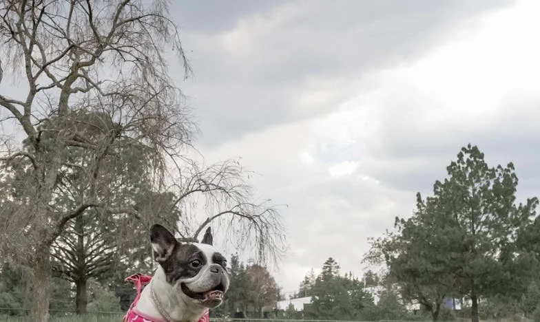 Dom, który zbudowałam na nowo: Historia Magdy z podwarszawskiej Pragi