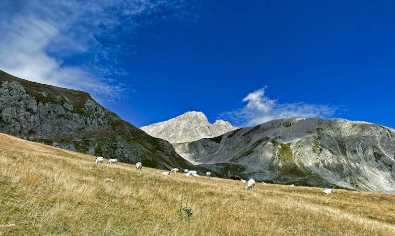Dwie sieroty i dom pełen szczęścia — jak los wszystko ułożył