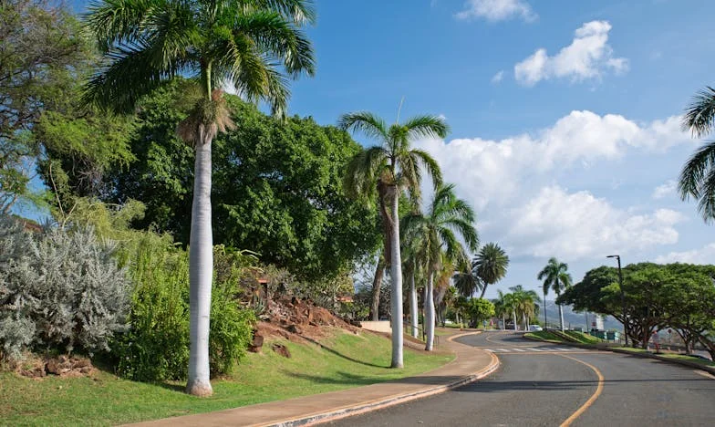 Gdy babcia dowiedziała się, że jej wnuk czeka na jej dom – historia o tym, jak chciwość potrafi rozbić rodzinę