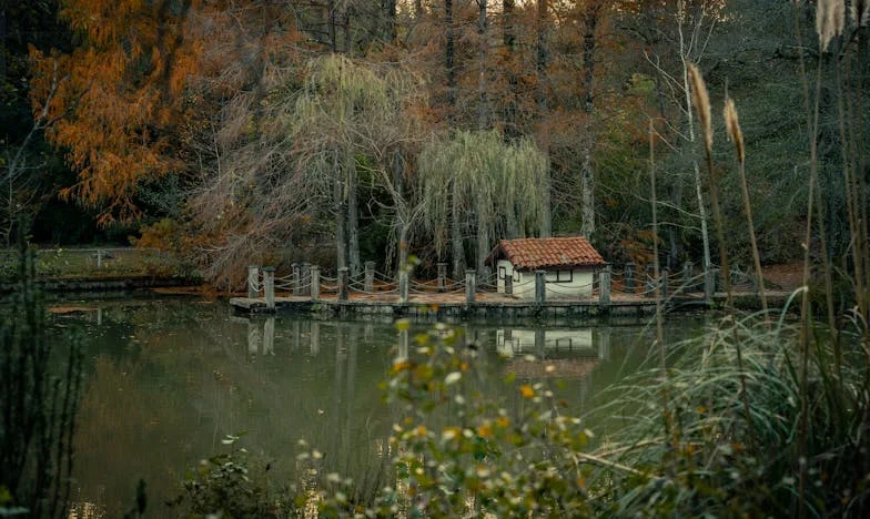 Kiedy teściowa decyduje za mnie: Moja walka o własne życie i wolność
