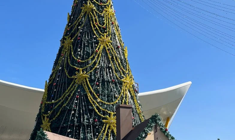 Między ciszą a krzykiem: Jeden telefon, który rozdarł moją rodzinę