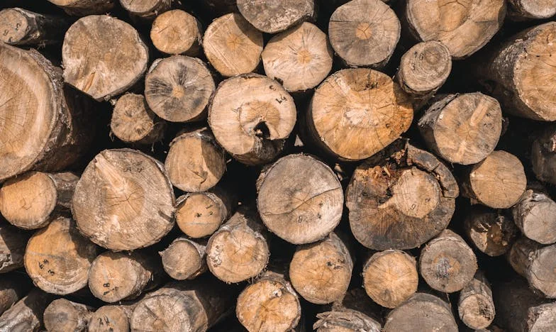 Miłość, która nie powinna się zdarzyć: Historia Zyta Nowak