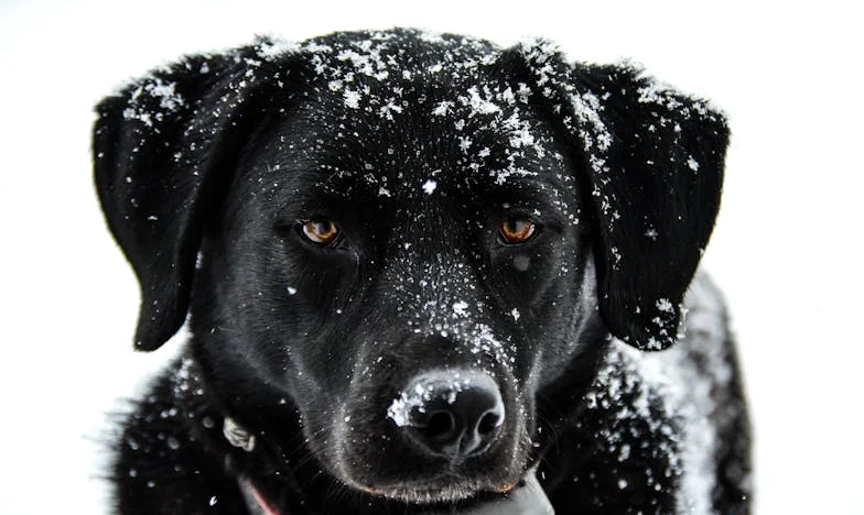 Miłość, która przegrała z matczyną lojalnością: Historia Ani z Lublina