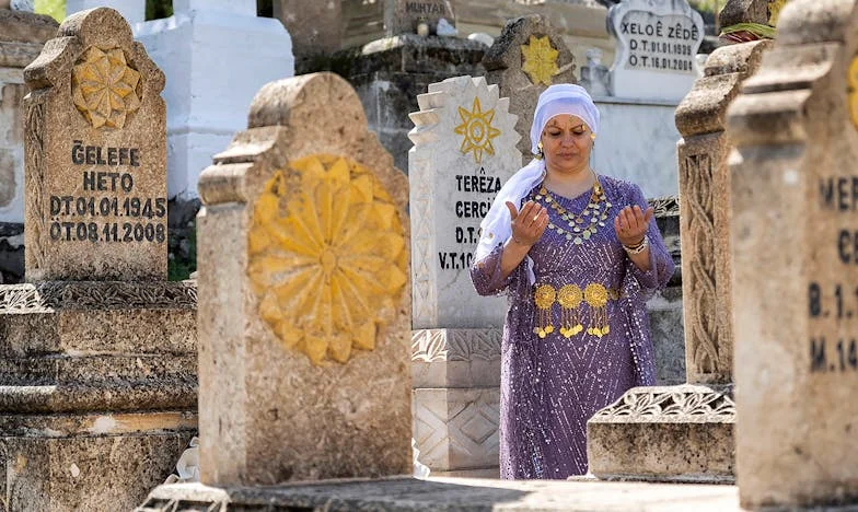 Nawet nie podziękowałeś – historia o rodzinnych niedopowiedzeniach i samotności