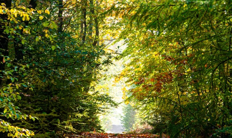 Nie pozwolę mamie zamienić mojego życia w koszmar: Moja walka o siebie i syna po rozwodzie