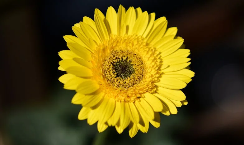 Niechciane dziecko, które uratowało nas przed rozpadem – historia z polskiego blokowiska