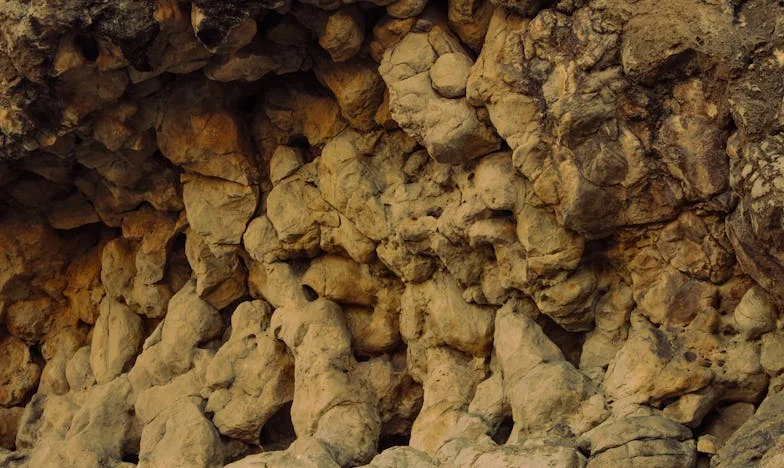 Nieproszony gość: Historia Julii i jej teściowej