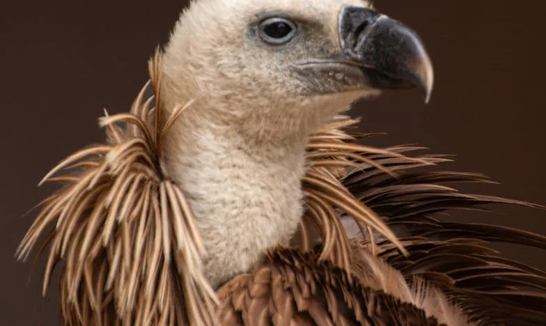 Niezrozumiana córka: Czy można pokochać siebie, gdy nigdy nie było się kochaną przez matkę?