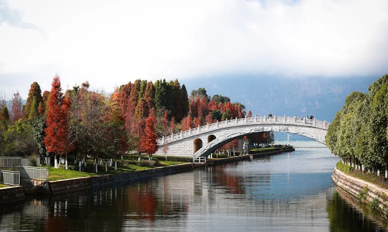 Późne pukanie do drzwi: Łzy teściowej i zdrada, która nie przemija