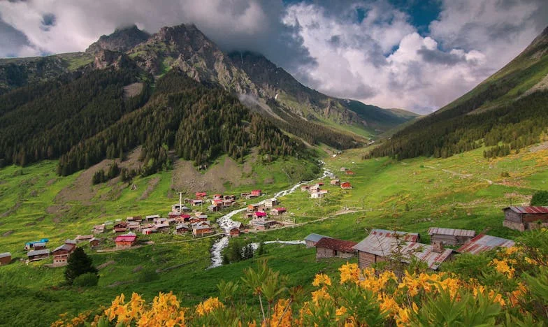 Reguły Mamy: Jak Tradycje Teściowej Prawie Zniszczyły Moją Rodzinę