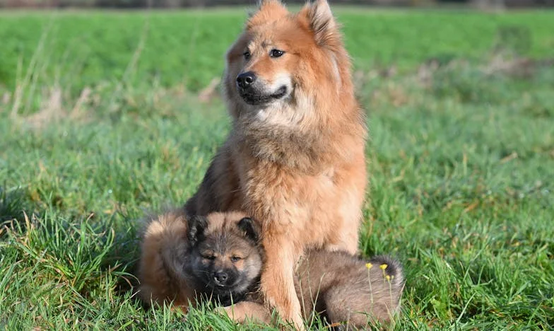 Szkoda, że to nie moje: Historia o zazdrości, przyjaźni i rodzinnych sekretach