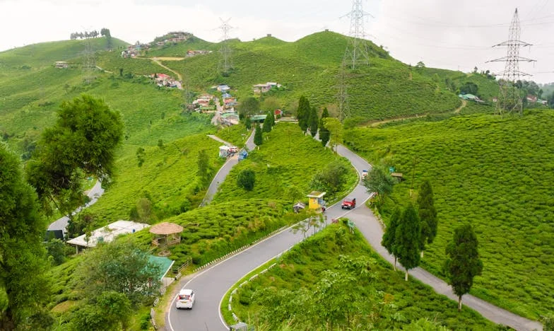 Zakochałam się po sześćdziesiątce: Czy naprawdę jestem śmieszna i łatwowierna? Moja rodzina nie potrafi tego zaakceptować