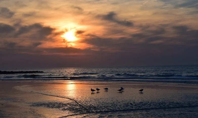 Czy można wybaczyć mężowi, który wrócił po zdradzie? Moja historia o rozstaniu, powrocie i walce o siebie