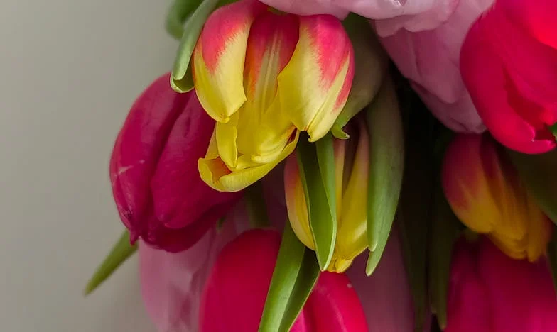 Każdego dnia gotuję od nowa, bo Piotr nie chce jeść resztek: Jak się z tego wyrwać?