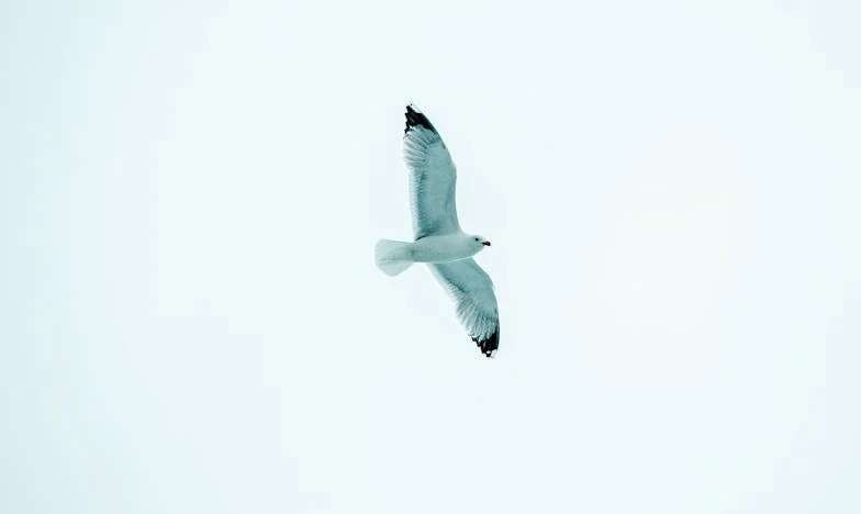 Kiedy własne dziecko oskarża cię o wszystko: Spowiedź Magdy z Krakowa