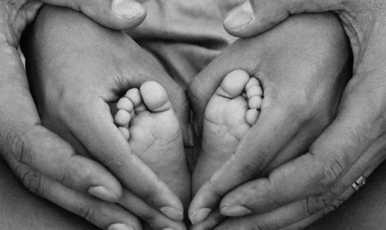 Między kwiatami a warzywami: Historia o marzeniach, rodzinie i wyborach