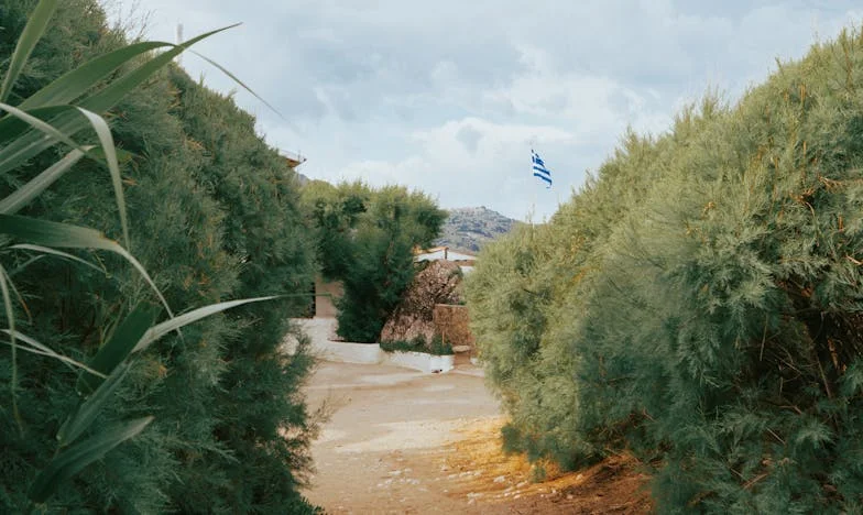 Między miłością a granicami: Moja walka z teściową podczas ciąży