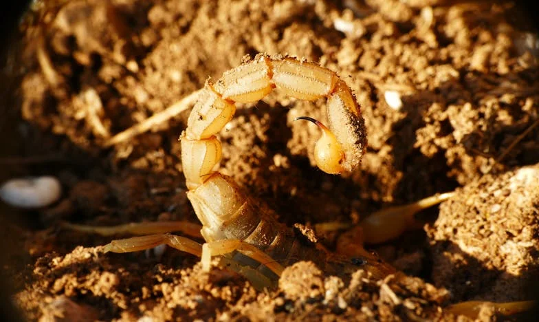 Moja wnuczka znika mi sprzed oczu: Czy powinnam ją ratować przed rodzinną tragedią?