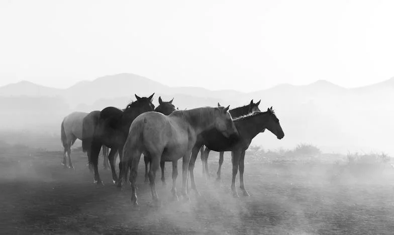 Pod powierzchnią: Wyznania jednej teściowej