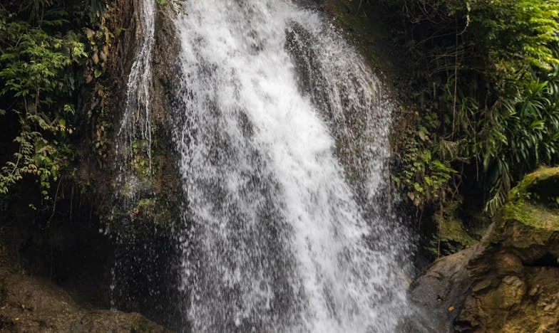 Powrót z rozbitym sercem – Historia Jakuba