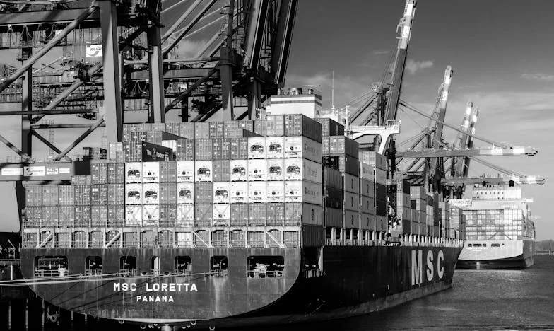 Sprzedana jak zwierzę: cud wśród polskich gór. Moja walka o godność i prawdę, której nikt nie chciał usłyszeć