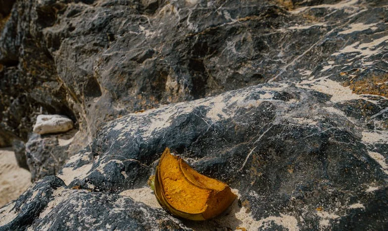 Zamieniłem żonę na zmywarkę. Myślałem, że wygrałem życie, a straciłem wszystko.