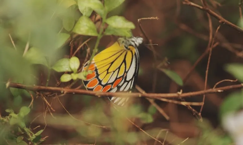 Zawsze ratowałam nasze małżeństwo. A kiedy w końcu odpuściłam, on nagle zaczął się starać...