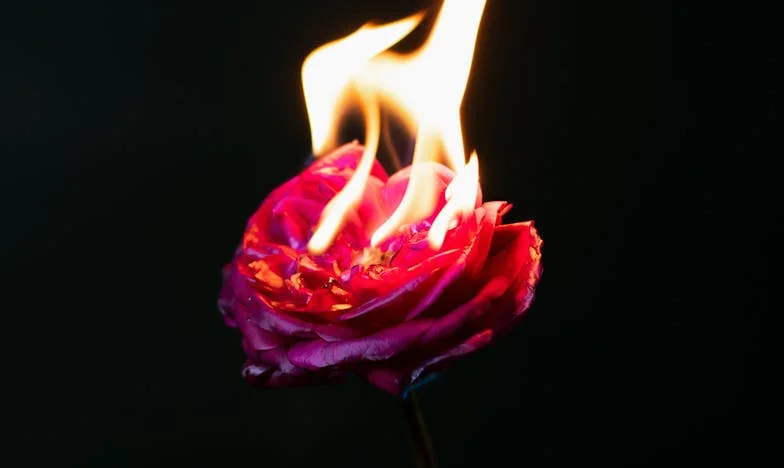 Zdrada, zemsta i siła kobiety: Moja droga od upokorzenia do triumfu