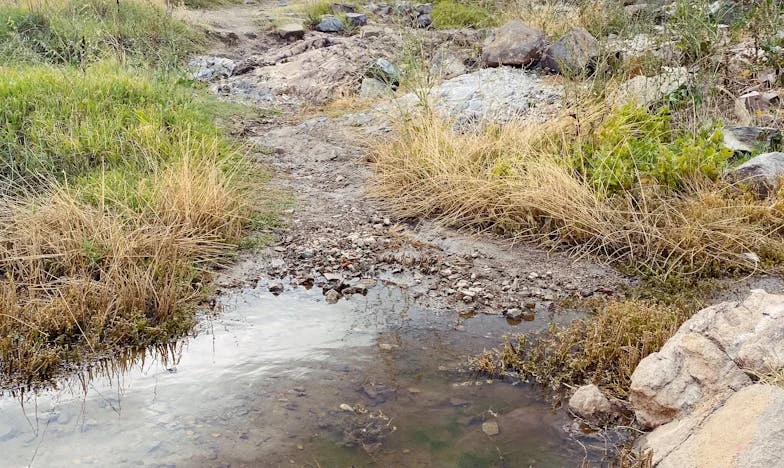 Córka wyrzuciła mnie z mieszkania po awanturze. Ale to, co wyczytałam w jej notatniku, zmieniło wszystko
