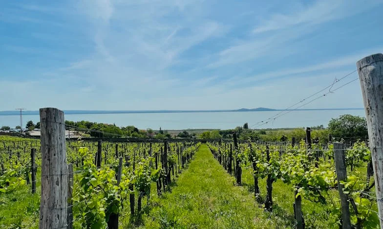 Czy to ja zniszczyłam własną rodzinę? Historia matki, która nie potrafiła zaakceptować synowej