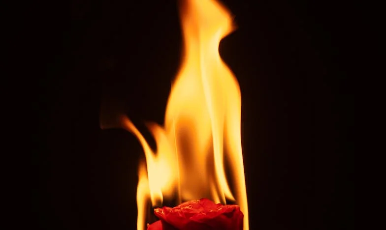 Gość we własnym domu: Moja walka o szacunek i miejsce w rodzinie męża