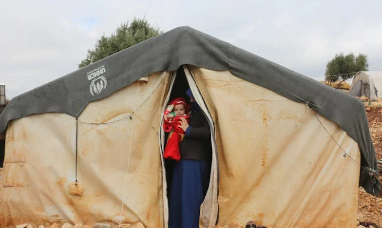 Kiedy miłość zamienia się w kalkulację: Historia Zofii