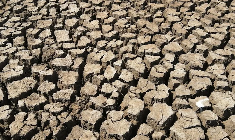 Kiedy Rodzina Patchworkowa Pęka: Decyzja, Która Nas Rozdzieliła