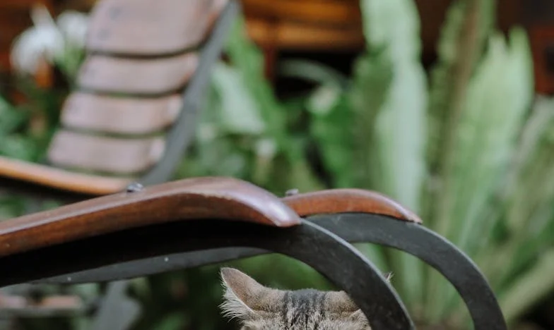 „Mamo, przecież daliśmy pieniądze: dlaczego dzieci nie dostały jedzenia?” – Odkrycie, które rozbiło moją rodzinę