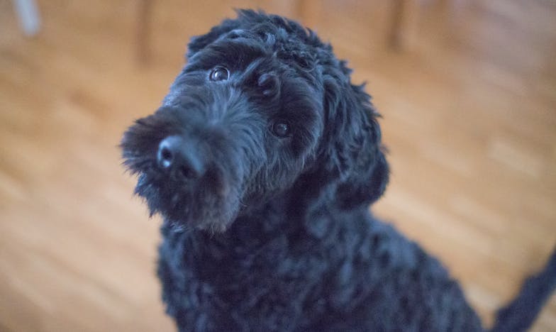 Dwa oblicza prawdy: Kiedy bliźnięta zmieniły wszystko