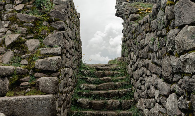 Każdego miesiąca mój syn potajemnie przesyła mi dużą część swojej pensji: prosi tylko, żebym nigdy nie mówiła o tym jego żonie