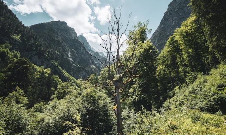 Między moją matką a żoną: Niemożliwy wybór