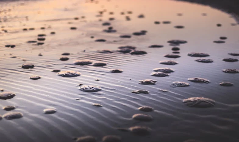 Nie spiesz się za mąż, Zuzanna: Ucieczka narzeczonej od toksycznej rodziny narzeczonego