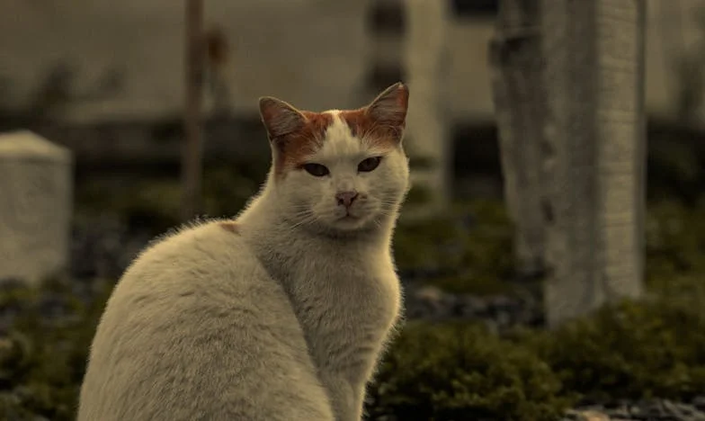 Pęknięcia wśród nas: Rodzina rozbita przez tajemnice