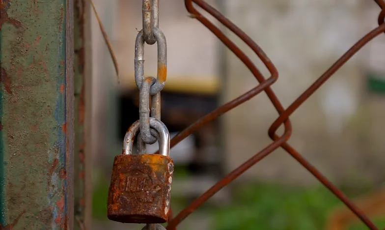 Ponad 30 lat temu urodziłam 3 synów. A teraz żaden z nich nie chce pomagać: Słusznie się mówi, że córki są najlepsze