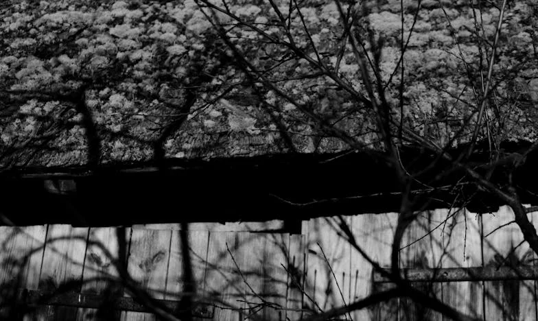 Wszystko, co ukryte – historia Leona, Tomka i Mariny