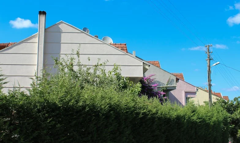 Imię, które dzieli: Historia o miłości, rodzinie i dumie