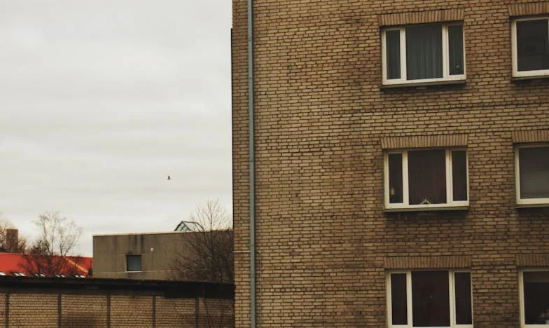 Milioner, mój syn i sprzątaczka: Noc, która zmieniła wszystko