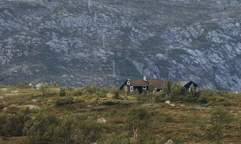 Moja teściowa przekroczyła wszelkie granice: Prawda wyszła na jaw podczas naszego wyjazdu na wieś