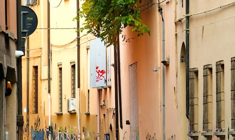Nie ma tu matki: Opowieść o stracie, żalu i nadziei