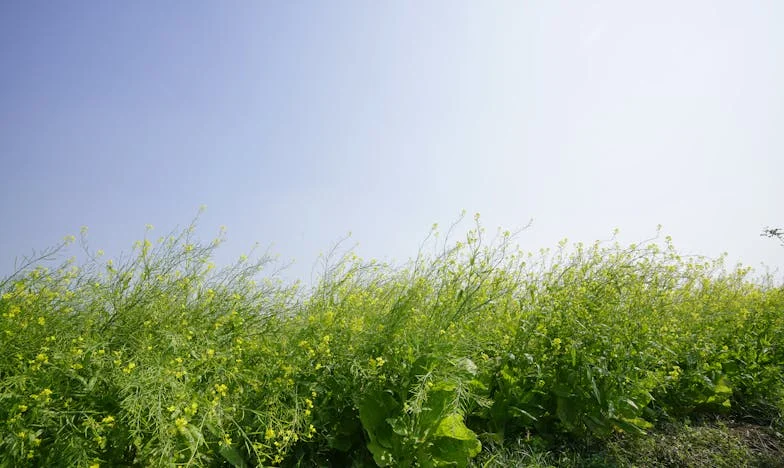 Urodziny, które rozdarły naszą rodzinę – historia, której nigdy nie zapomnę