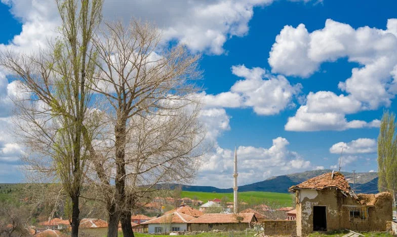 Z popiołów do światła: Moja droga przez ból, wstyd i odrodzenie